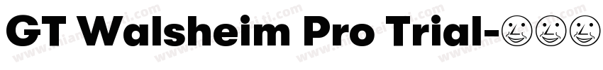 GT Walsheim Pro Trial字体转换